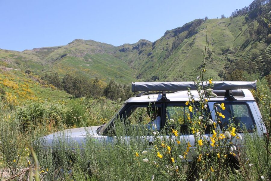 West Tour Full day 4x4 Jipe Tour Natural Swimming Pools - Ponta do Sol to Paul da Serra: When Madeira Goes High and Wide