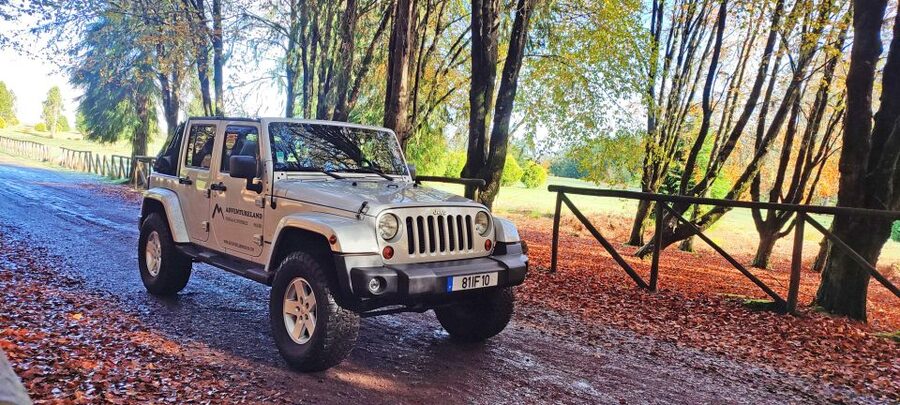 West tour - Porto Moniz VIP 4X4 Wrangler Tour 8h trip - Fanal Forest and Ribeira da Janela, Laurel Forest UNESCO Nature in a Small Area