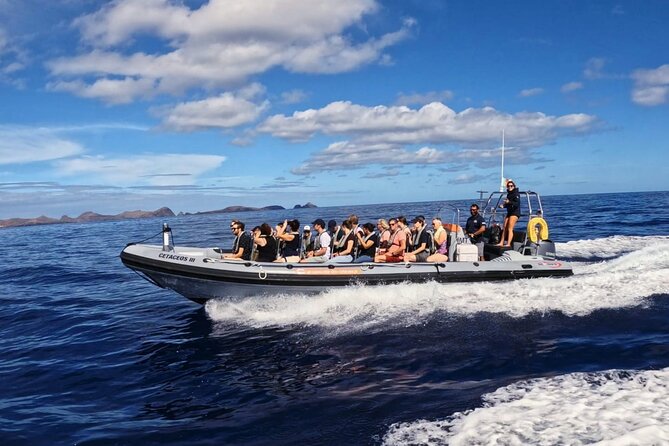 Whale and Dolphin Watching Tour from Funchal - What you’ll see, and how to boost your chances of a good encounter