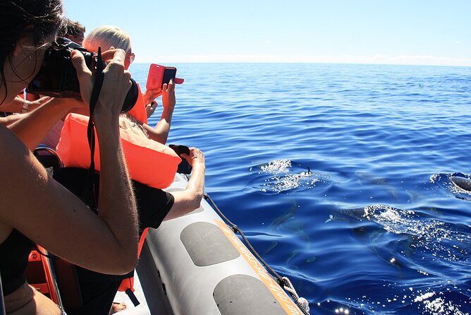 Whale and Dolphin Watching Tour from Funchal - The second wildlife-spotting trip guarantee: your safety net