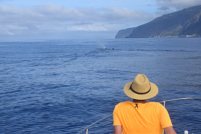 Whale and Dolphin Watching Tour in Madeira - Sunset Departures and Whale-Watching Limits (Read This Part)