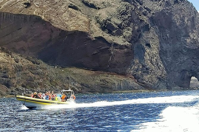 Whale & Dolphin Watching in Madeira - What You’ll Actually See: Species, Pods, and No Guarantees