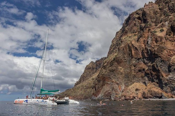 Wines Tasting Experience and Skywalk with Dolphin Watching - What to pack for this combo: the practical stuff that saves the day